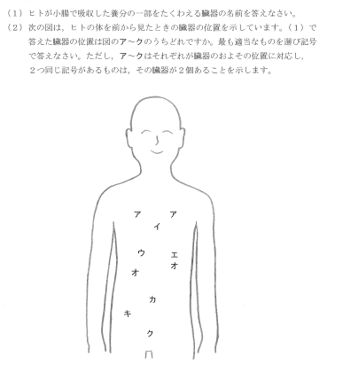 中学受験 理科 ヒトのからだ 不要物の排出の仕組み 中学受験ナビ