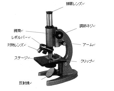 中学受験 理科 実験器具の使い方 正確に理解していますか 顕微鏡編 中学受験ナビ