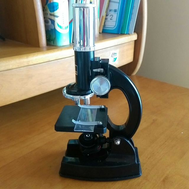 中学受験 理科 実験器具の使い方 正確に理解していますか 顕微鏡