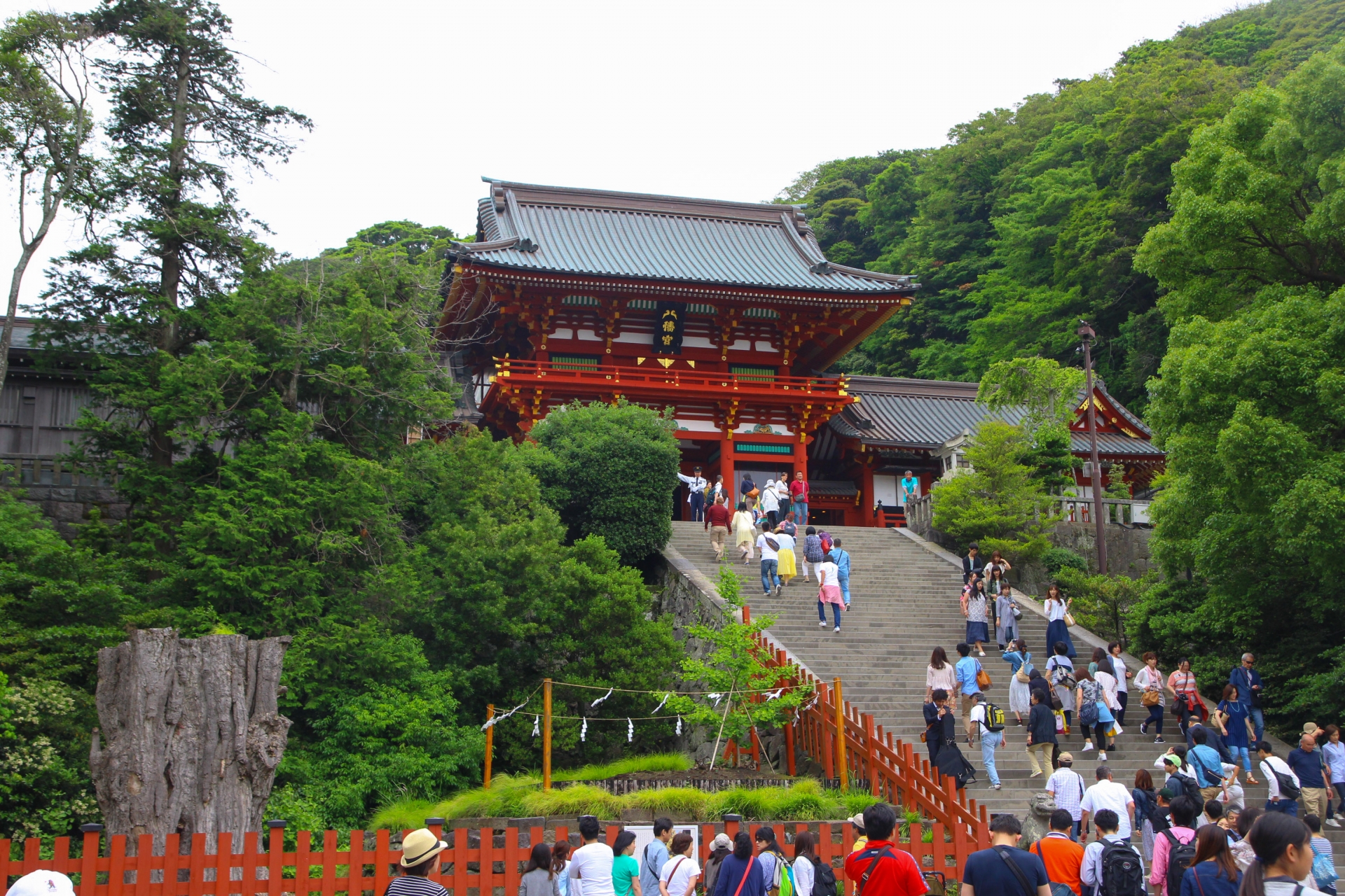 武士による幕府誕生！鎌倉時代の将軍と執権についてまとめておこう
